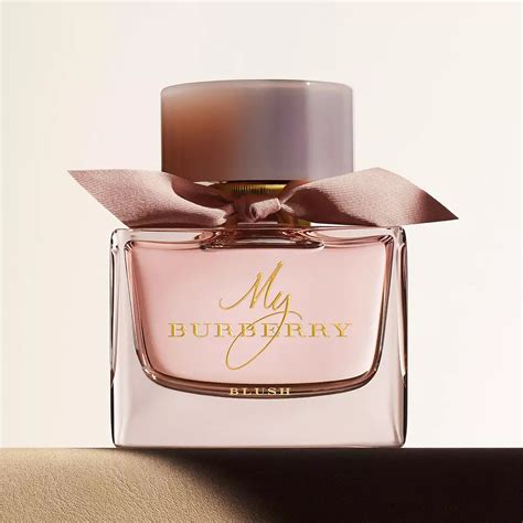 best burberry women perfume|best discontinued burberry fragrance.